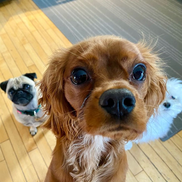 Meet your Posher, Agnieszka - Picture 5 of 7